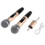 Microfones Duplos Dinâmicos Sem Fio Handheld Com Mini Grupo Portátil Do Receptor
