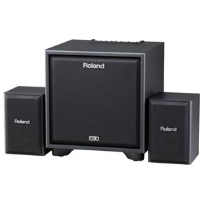 Monitor Roland Cube Cm220