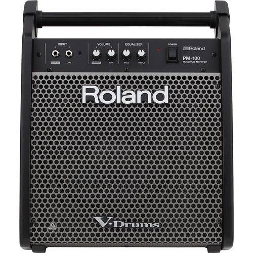 Monitor Roland PM100