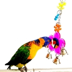 Multi Color Parrot Chew Bell Flor Espelho Swing Periquito Birds Hanging Play Toy