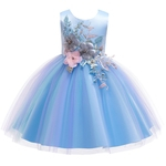Crianças Girl Dress Lace delicado Matching Princesa cor do vestido da bolha