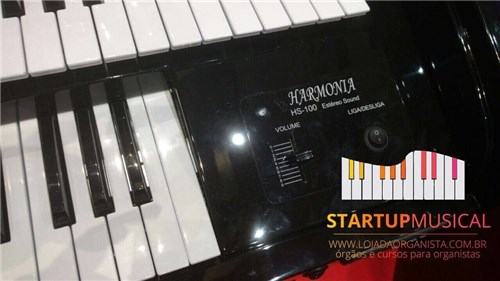 Órgão Eletrônico Harmonia Hs 100 Stereo Preto