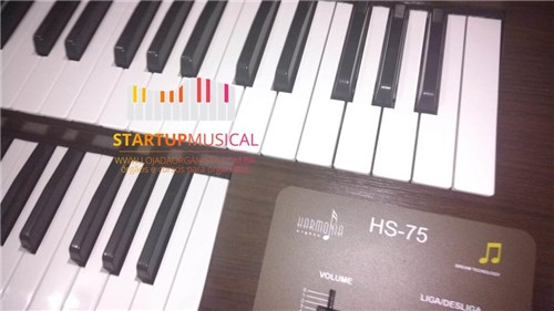 Orgão Eletronico Harmonia Hs 75 Tabaco