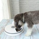 Six-Hole sincronismo inteligente Dispenser Food com Reminder Música para Gatos CãesPet Alimentador Automático de