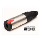 Plug J10 Stereo Wireconex Wc 197