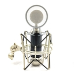 Professional Studio Microfone Condensador Set Condensador Mic Bundle de gravação