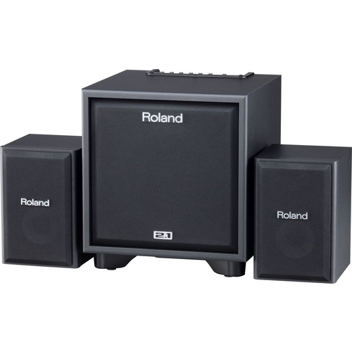 Roland Cm-110 Monitor