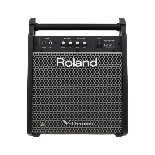 Roland PM-100 Monitor Pessoal