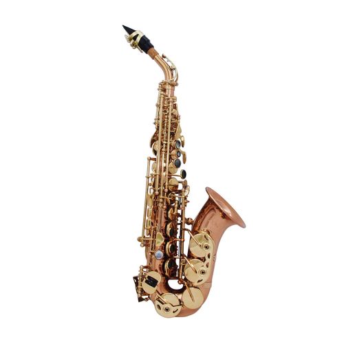 Sax Soprano Curvo Zion By Plander Sc1010l Gold Brass Semi-p