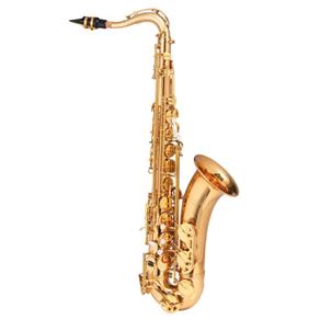 Sax Tenor Dual Gold WTS-M48 - Michael