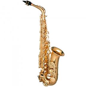 Saxofone Alto Hofma Hsa 400 Glq com Estojo