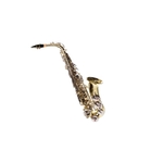 Saxofone Alto Laqueado SNFT-6430 LN - SX