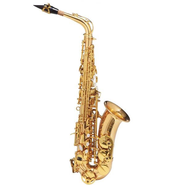 Saxofone Alto MICHAEL Dual Gold - WASM48