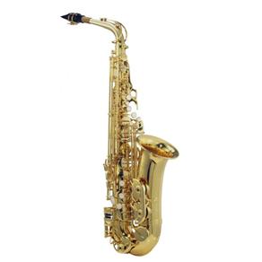 Saxofone Alto Michael Laqueado Wasm35 em Eb C/ Case