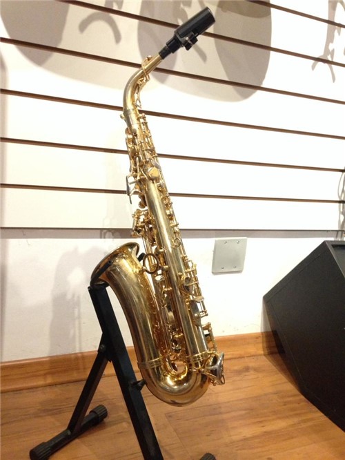 Saxofone Alto Michael Wasm 45 + Estojo + Acessórios - Usado