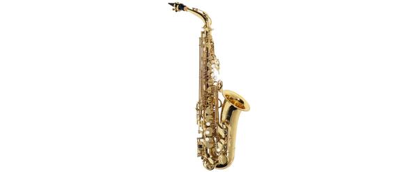 Saxofone Alto Michael Wasm30n - Laqueado