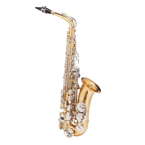 Saxofone Alto Michael Wasm49 Dual Gold