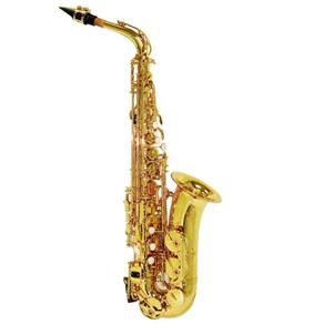 Saxofone Alto Shelter Sgft6430l Laqueado Dourado em Eb C/ Estojo