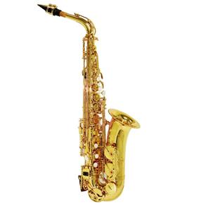 Saxofone Alto Shelter Sgft6430l Laqueado Dourado em Eb com Estojo
