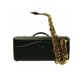Saxofone Alto Vintage com Estojo TJS-6430LRU - Shelter