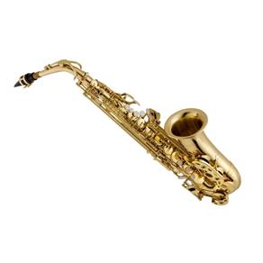 Saxofone Alto Vogga Vsas701
