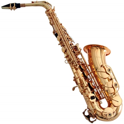 Saxofone Mi Bemol Laqueado Gold Wsagd Waldman