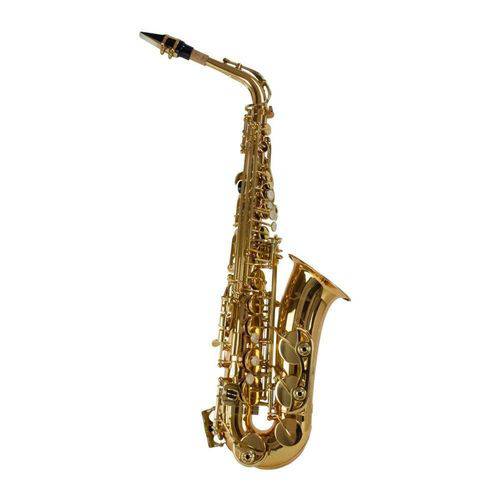 Saxofone Sax Alto Laqueado Mib Dourado Sgft-6430 Shelter