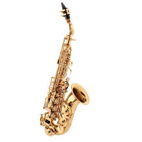 Saxofone Soprano com Case HSP408 L Hofma Laqueado