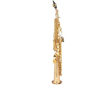 Saxofone Soprano Michael Dual Gold - Wssm48 Bb Duplo Dourado