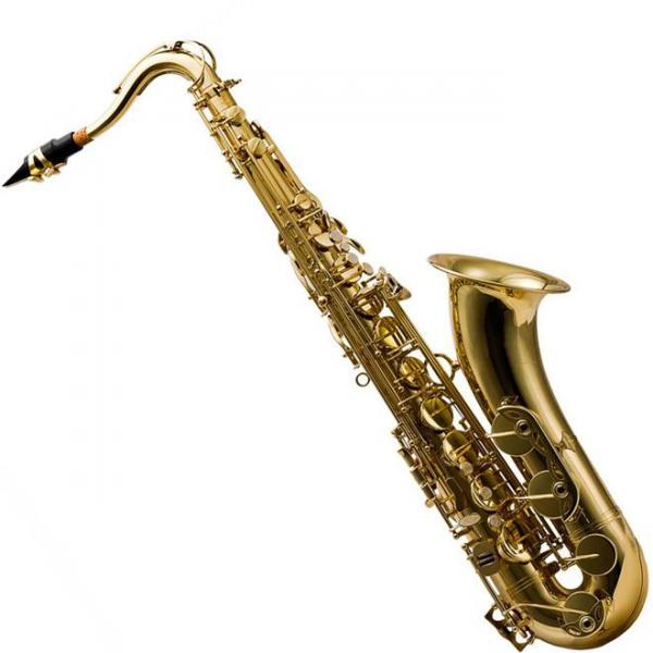 Saxofone Tenor com Afinação em Bb Laqueado Hts100l Harmonics