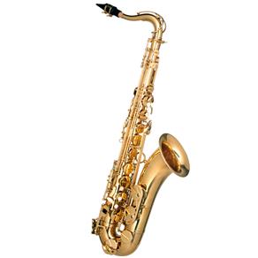 Saxofone Tenor com Case HST402 GLQ Hofma Gold Laquer