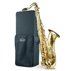 Saxofone Tenor Concert Cts900
