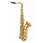 Saxofone Tenor Scavone