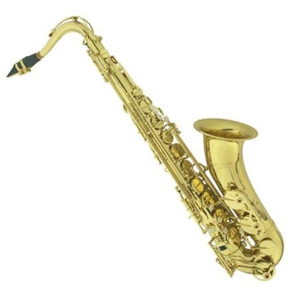 Saxofone Tenor Si Bemol Wtsm35 Michael
