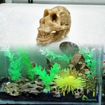 Simular Ornamento Paisagem Crânio Resinas para Reptile Caverna Aquário Terrarium Decoração Home Garden Tools