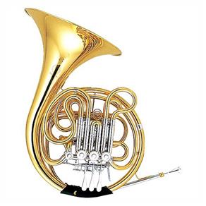 Trompa Laqueado Afinação em F e Bb Hfh600L Harmonics