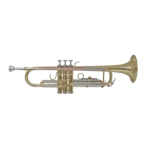 Trompete Bach Bronze TR655