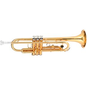 Trompete Michael Dual Gold Wtrm48 Bb ? Duplo Dourado