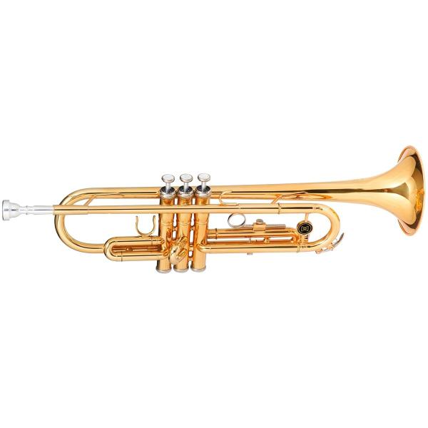 Trompete MICHAEL Dual Gold WTRM48 Bb Duplo Dourado
