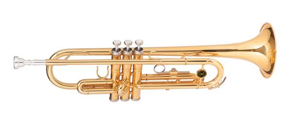 Trompete Michael Dual Gold Wtrm48bb Duplo Dourado