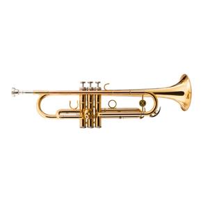 Trompete Michael Dual Gold WTRM68 BB Duplo Dourado com Tubos em Alpaca