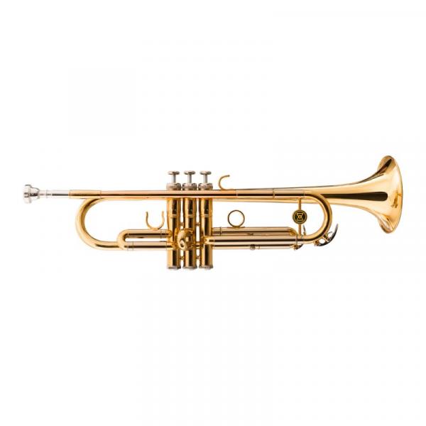 Trompete Michael Dual Gold WTRM68 BB Duplo Dourado com Tubos em Alpaca