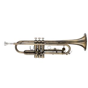 Trompete Michael WTRM56 Bb Escovado com Case Mochila