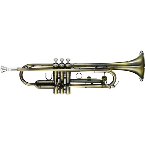 Trompete Michael Wtrm56 Bb Escovado