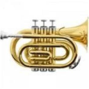 Trompete Pocket Bb Hmt-500L Laqueado - Harmonics