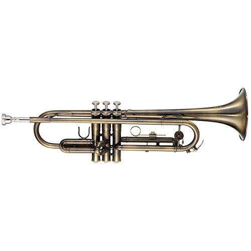 Trompete WTRM56 BB Escovado - Michael