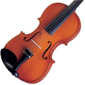 Violino 4/4 Tradicional com Arco de Crina Animal Michael