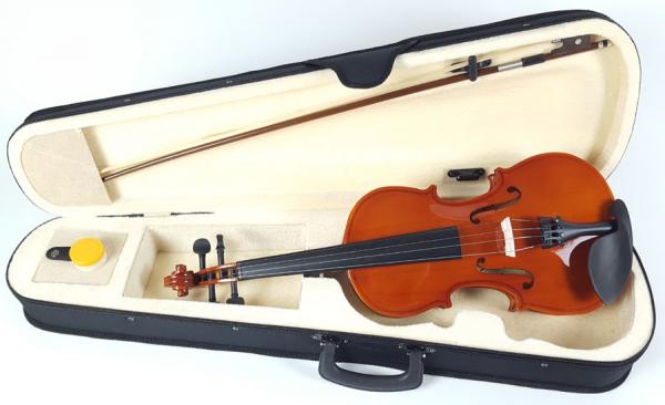 Violino 3/4 Rajado com Estojo - Custom