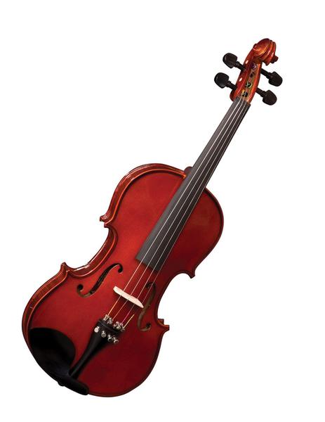 Violino Eagle Ve144 4/4 Rajado Semi Prof.Completo