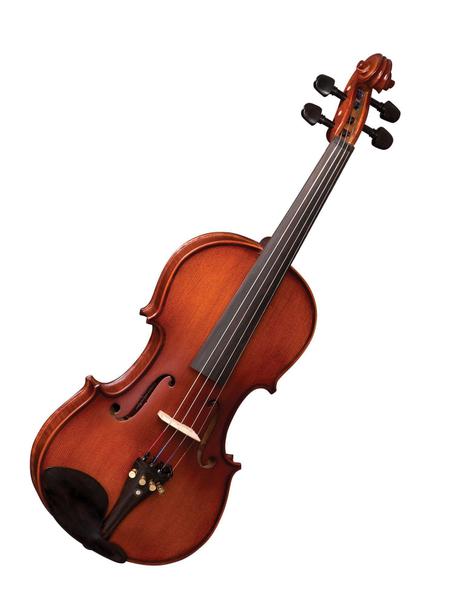 Violino Eagle Ve244 4/4 Envelhecido Acetinado Arco Profissio